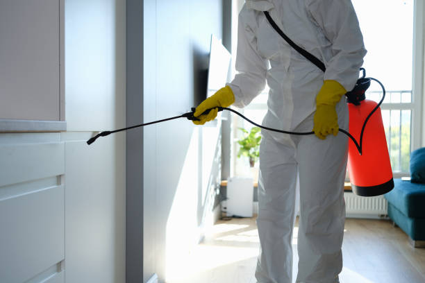 Best Toxic Mold Removal  in Omao, HI